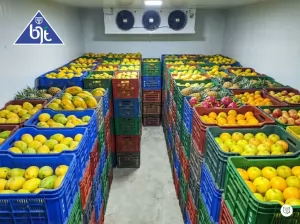 Tips Memilih Buah-buahan Segar di Supermarket agar Awet